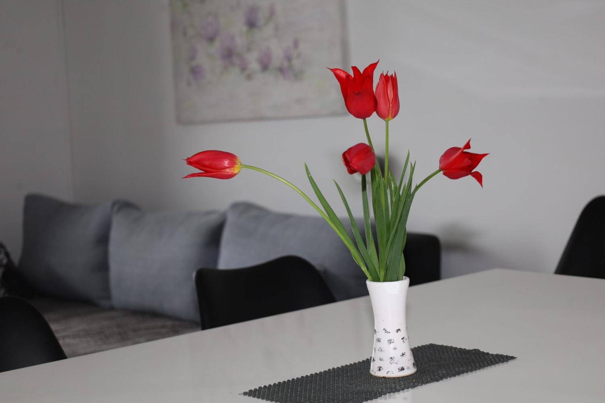 Apartma Javorscek Bovec Kültér fotó